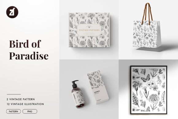 Bird of Paradise Pattern: Fresh Illustrations