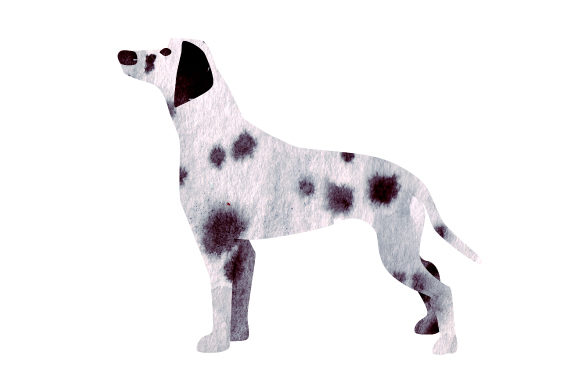 Dalmatian Watercolour Collage: Animals for Sellers