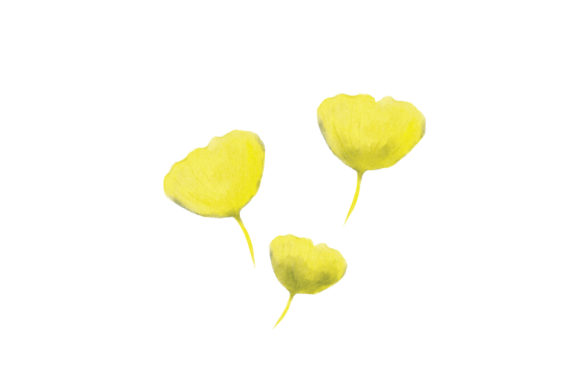 Gingko Leaves Watercolor: A Nature Amp Asset Review