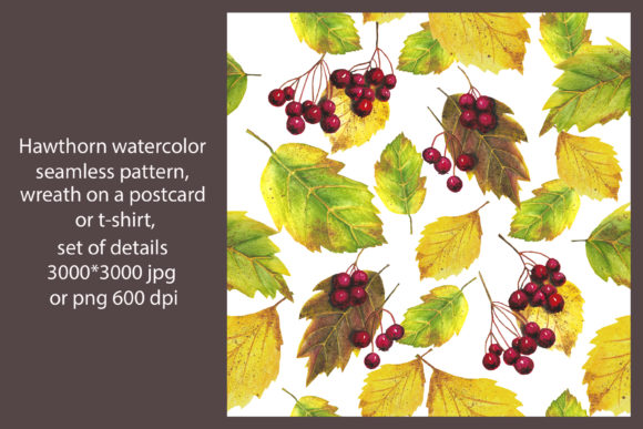 Hawthorn Watercolor Autumn Pattern Review