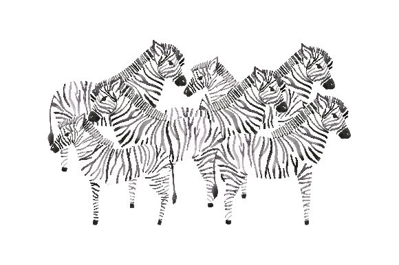 Herd of Zebra Watercolour: Animals for Branding