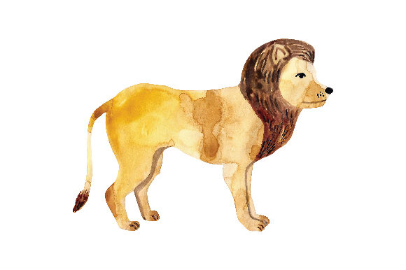 Lion Watercolour: Bold Animals for Modern Design