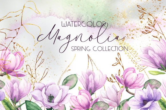 Magnolia. Watercolor Collection: A Designer's Review