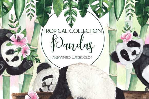 Pandas. Tropical Collection: Illustrations for Branding