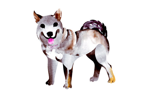 Shikoku Watercolour: A Designer's Review for Real Projects