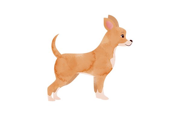 Watercolour Chihuahua: A Designer's Review for Real Projects