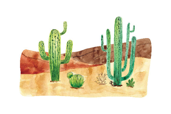 Watercolour Desert Setting: A Nature Amp Review