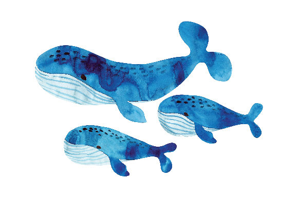 Whale Family Watercolour: A Gentle Brand Asset